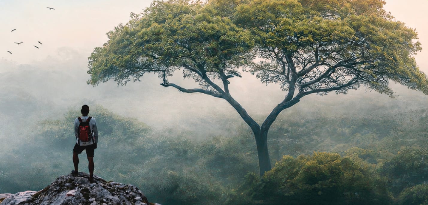 Un marcheur au sommet d'une crête contemple une forêt et un arbre isolé dans la brume